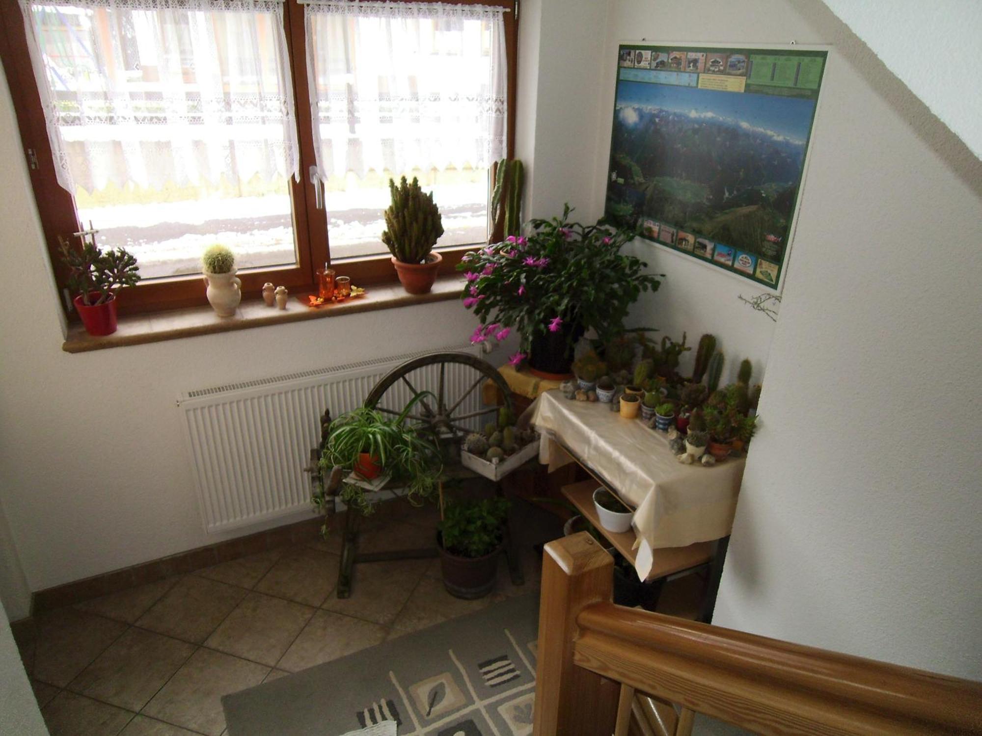 Haus Weidmannsheil Apartamento Längenfeld Exterior foto